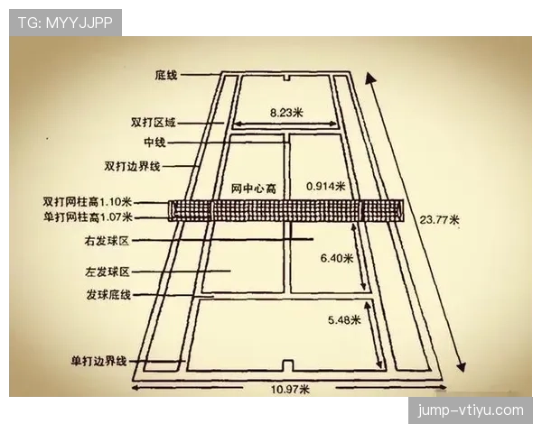 边线规则详解：球出界后如何判定归属与发球位置？